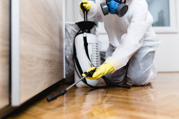 Best Residential Pest Control  in Montura, FL