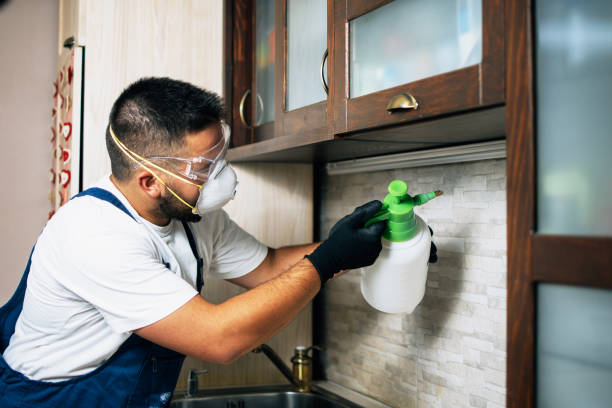 Best Affordable Pest Control Services  in Montura, FL