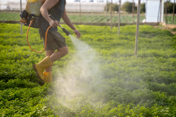 Best Pest Inspection Near Me  in Montura, FL
