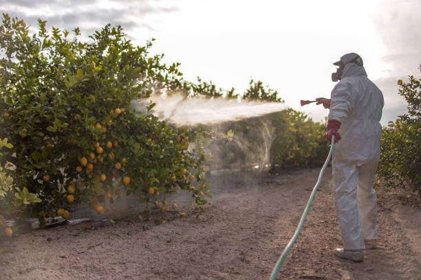 Pest Control Cost in Montura, FL