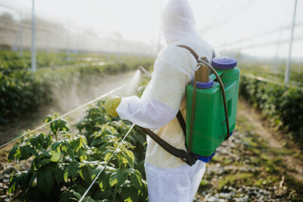 Best Cockroach Control Services  in Montura, FL